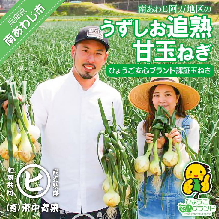 【ふるさと納税】淡路島産玉葱 うずしお追熟甘玉ねぎ 5kg 6000円 たまねぎ 国産 野菜 オニオン サラダ スープ ハンバーグ カレー 淡路島 淡路 送料無料 お買い物マラソン 6000