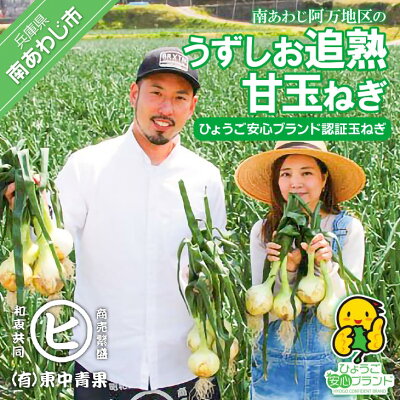 楽天ふるさと納税　【ふるさと納税】淡路島産玉葱 うずしお追熟甘玉ねぎ 3kg 4000円 たまねぎ 国産 野菜 オニオン サラダ スープ ハンバーグ カレー 淡路島 淡路 送料無料 お買い物マラソン 4000 ポッキリ