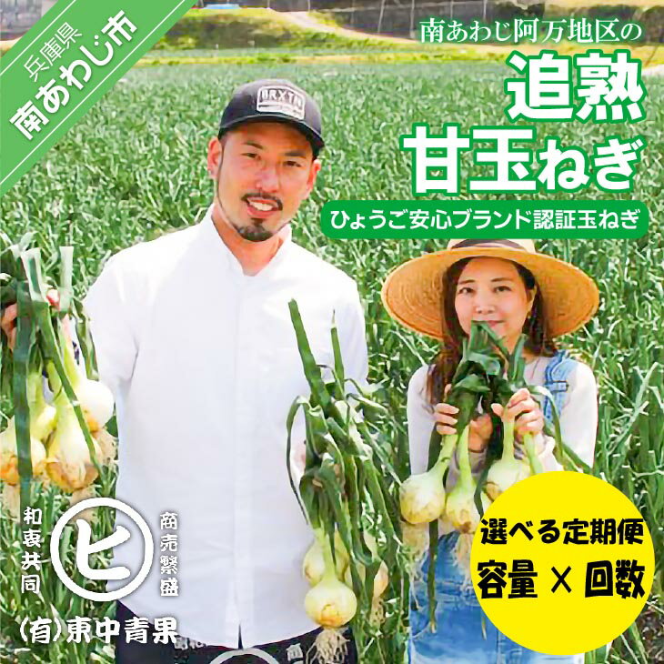 [選べる定期便]「追熟甘玉ねぎ」容量[3kg・5kg・10kg]回数[3回・6回・12回]