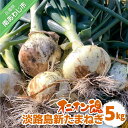 【ふるさと納税】【オニオン魂】 淡路島新たまねぎ 5kg ◆配送4月上旬~