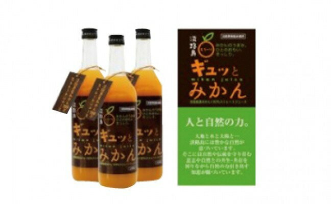 【ふるさと納税】淡路島ギュッとみかん　720mL（4本入り）