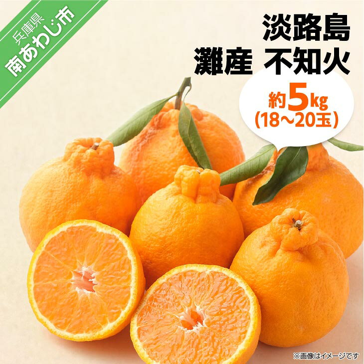【期間限定】 淡路島灘不知火 約5kg（18～20玉） ふるさと納税 おすすめ