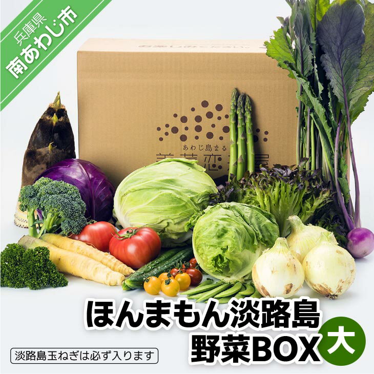 【ふるさと納税】【美菜恋来屋】ほんまもん淡路島野菜BOX（大）
