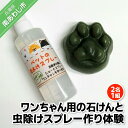 【ふるさと納税】ワンちゃん石けん作り体験!ワンちゃん用の石けんと虫除けスプレー作り(2名1組)