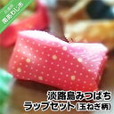 【ふるさと納税】淡路島みつばちラップセット(玉ねぎ柄)