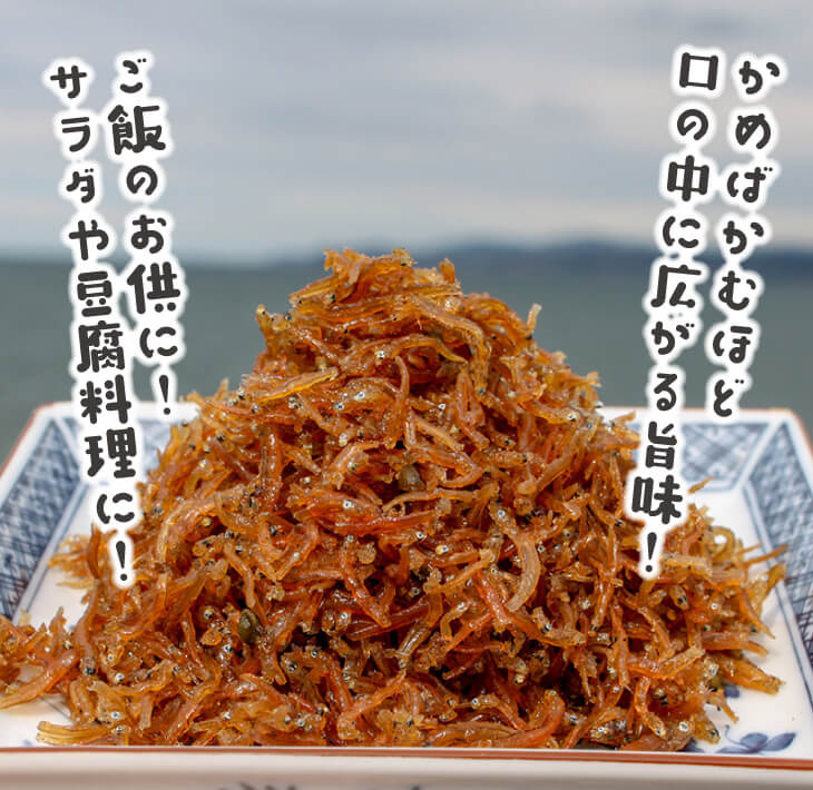 【ふるさと納税】山椒ちりめん 240g×2パック