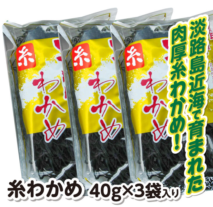 【ふるさと納税】糸わかめ 40g×3袋入り 1