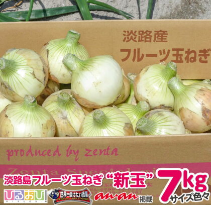 【7kg・サイズ色々】フルーツ玉ねぎ【新玉】