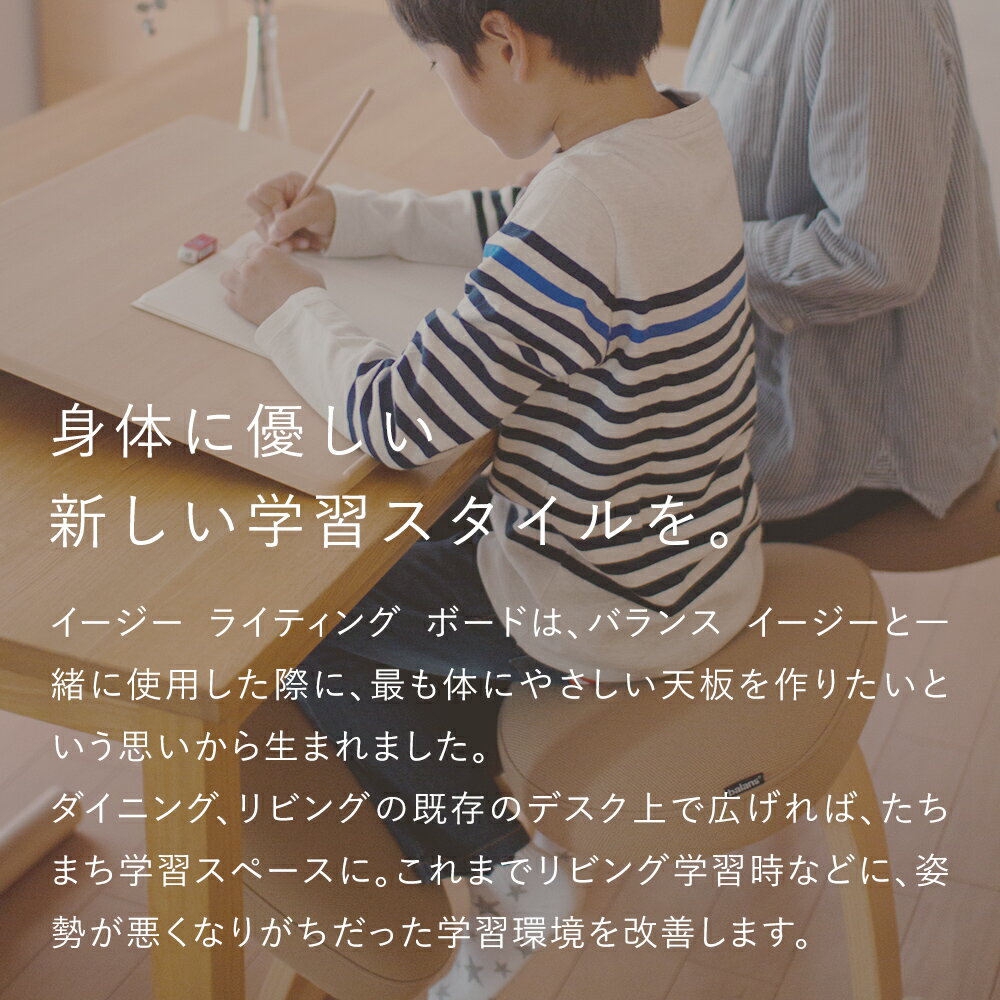 【ふるさと納税】イージー ライティング ボード ＜M・Lサイズ＞ 猫背 姿勢 矯正 学習スペース リビング学習 兵庫県 朝来市 ※着日指定不可