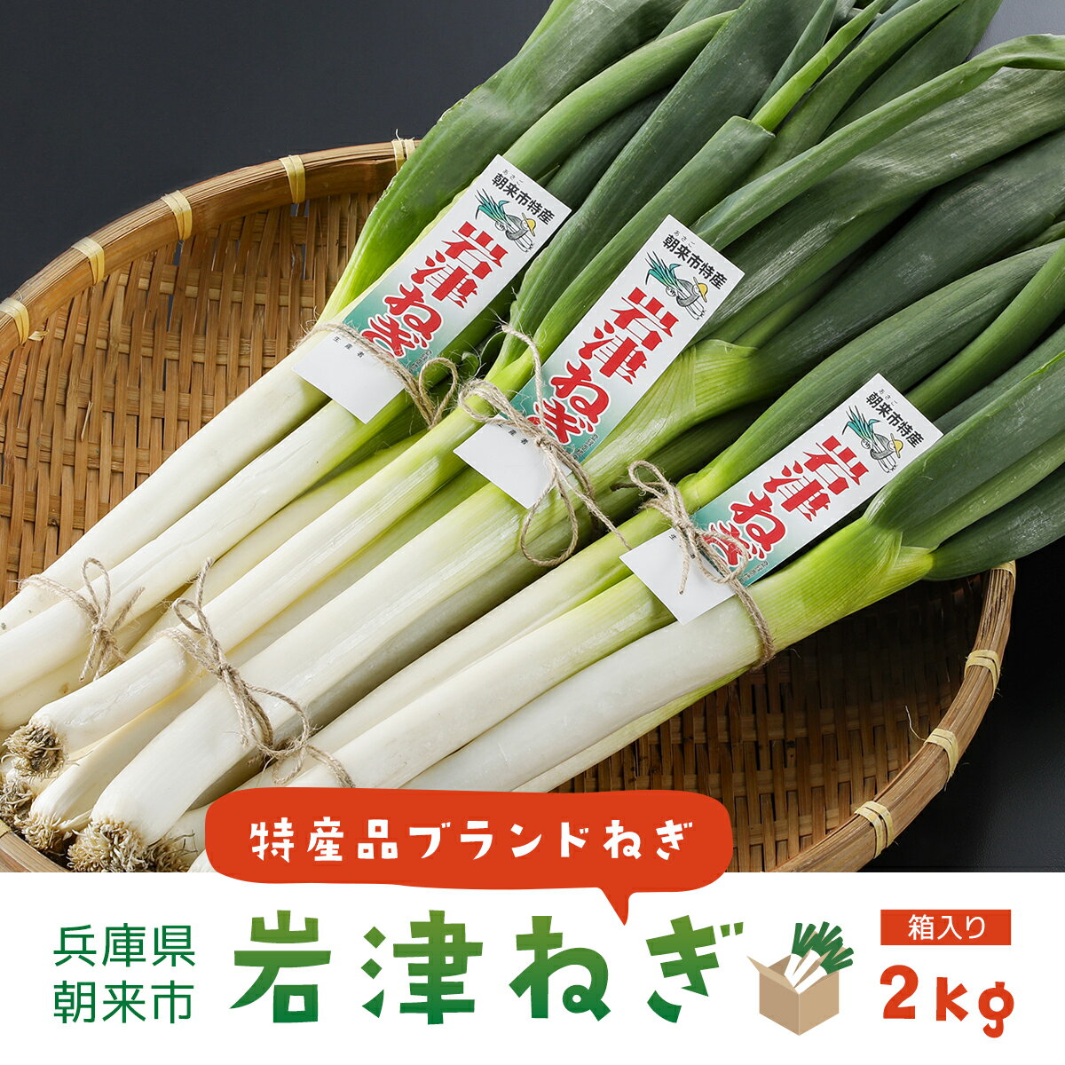 朝来市特産「岩津ねぎ」2kg(箱入り)| 先行予約 先行受付 ねぎ ネギ 葱 岩津ねぎ 長ねぎ 長ネギ 長葱 2キロ 日本三大ねぎ 特産 新鮮 野菜 朝来市産 兵庫県 朝来市 AS4AC3