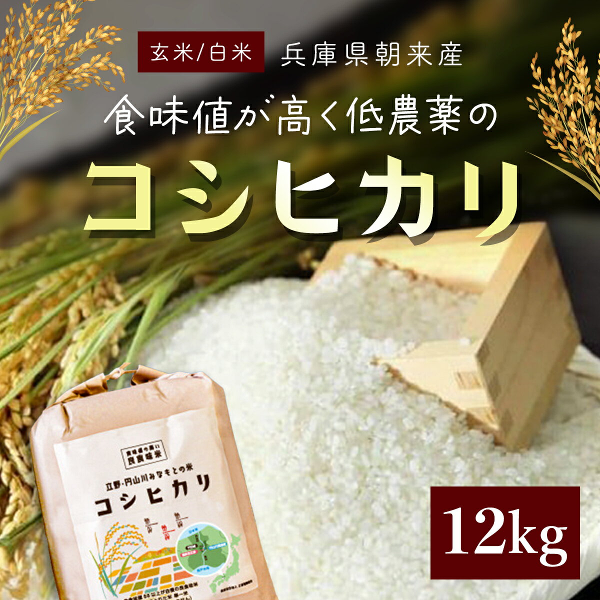 【ふるさと納税】食味値が高く低農薬のコシヒカリ 12kg【円山川源流域の清流で育った米】米 こめ コメ お米 おこめ ご飯 ごはん 白米 玄米 こしひかり 低農薬 国産米 国産 単一米 単一原料米 12キロ 兵庫県 朝来市 AS4CA23