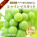 【ふるさと納税】【数量限定】朝どれ!「シャインマスカット1.5kg(2~3房)」◆アダチ観光農園直送の絶品ぶどう◆ぶどう ブドウ 葡萄 マスカット シャインマスカット 種無し 種なし 皮ごと 皮ごと食べられるぶどう 果物 フルーツ 産地直送 期間限定 兵庫県 朝来市 AS2CF1