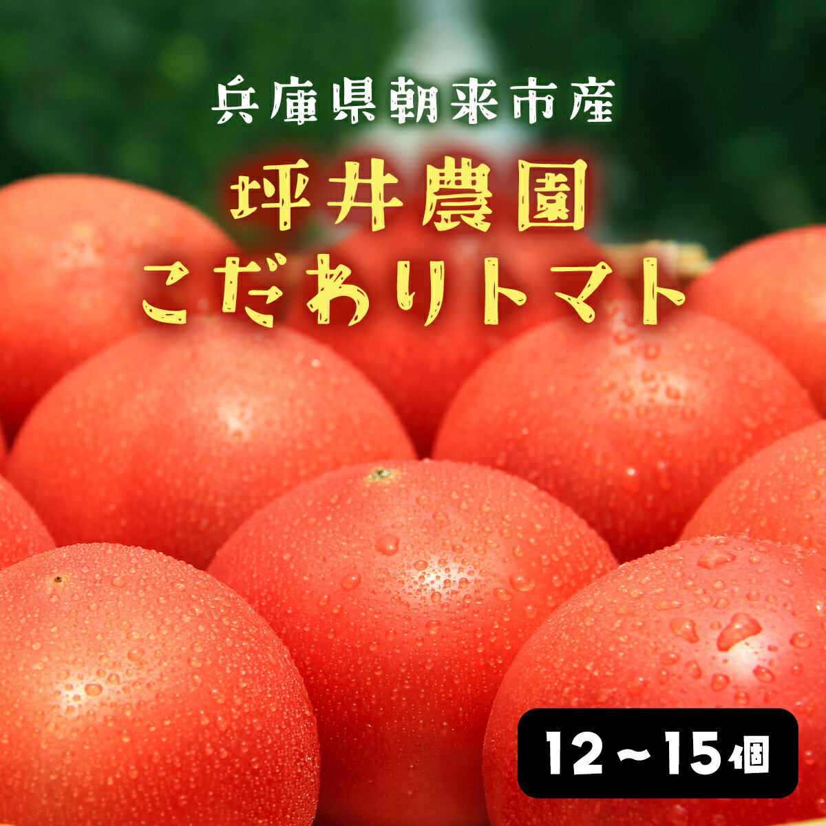 7月3日まで!!! ＼数量限定/ 坪井農園の厳選!こだわりトマト(12〜15個入り) 期間限定 限定 トマト とまと 期間限定 人気 桃太郎 桃太郎トマト 桃太郎トマト 美味しい おいしい 夏野菜 野菜 兵庫県 朝来市 AS2BB4