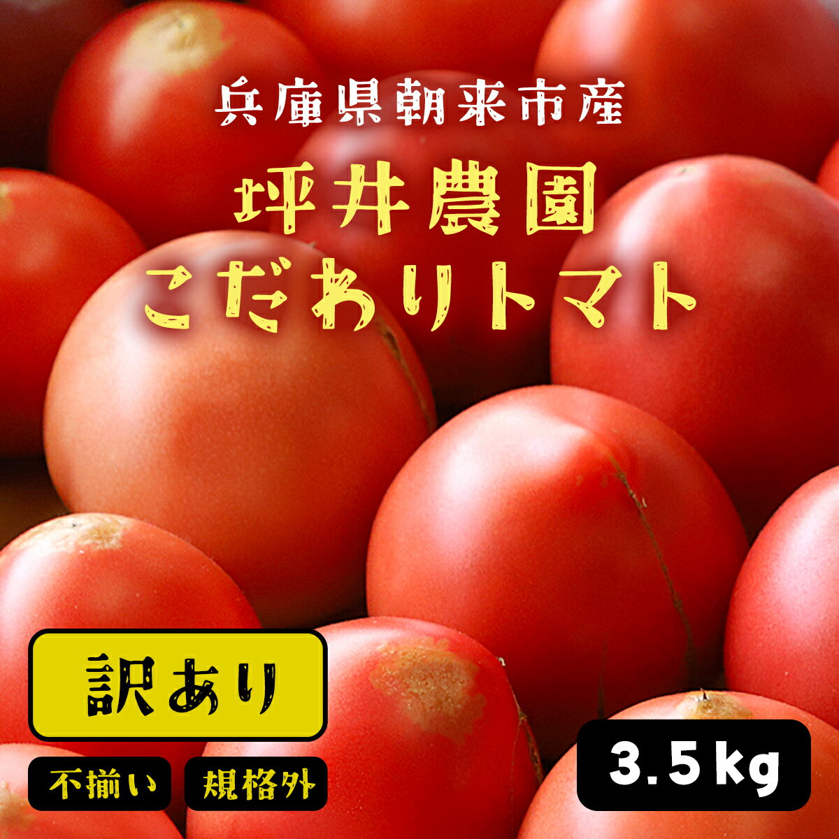 7月3日まで!!! 坪井農園 こだわりトマト[訳あり]3.5kg 期間限定 限定 トマト とまと 訳あり 訳アリ 不揃い ふぞろい 不揃いトマト 不揃いとまと 期間限定 人気 規格外 3.5キロ 3500g 大容量 兵庫県 朝来市 AS2AB17