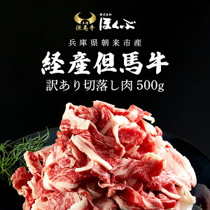 【ふるさと納税】経産但馬牛 訳あり 切落し肉 500g / 但馬牛 但馬 牛 黒毛和牛 国産和牛 ブランド牛 訳アリ 不揃い 規格外 500グラム 切り落とし 切り落とし肉 牛切り落とし 牛肉 お肉 たれ付き すきやきのたれ タレ 冷凍 兵庫県 朝来市 AS2BB17