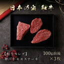 【ふるさと納税】和牛セレブの神戸牛モモステーキ 300g(100g前後×3枚) 但馬牛 神戸牛 神戸ビーフ 牛肉 牛モモ もも もも肉 ももステーキ 牛ステーキ 国産和牛 黒毛和牛 ブランド牛 兵庫県 朝来市【配送不可地域：離島】AS33CA33 2