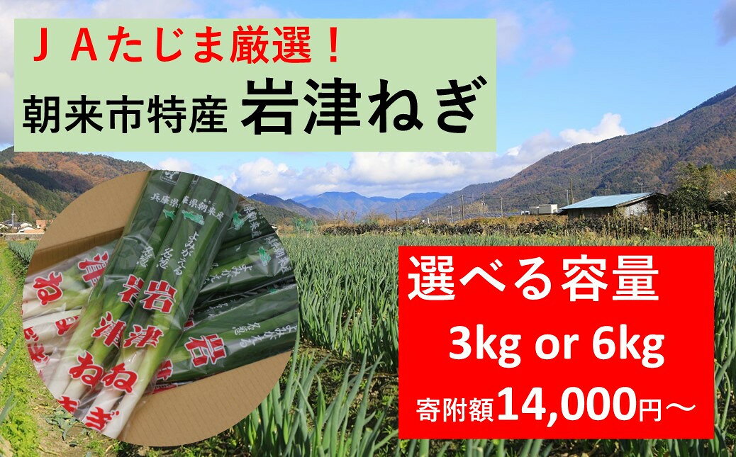 [先行予約]JAたじま厳選! 朝来市特産 岩津ねぎ 3kg・6kg [ 11月23日以降順次発送] 兵庫県 朝来市 ねぎ ネギ 葱 長ねぎ 長ネギ 長葱 ブランドねぎ ブランドネギ ブランド葱 期間限定 数量限定 野菜 旬の野菜 冬野菜 たじま農協 たじまんま AS49BD24