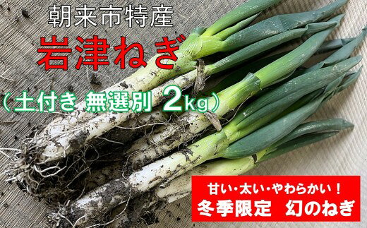[先行予約]朝来市特産 岩津ねぎ 土付き 太さ 無選別 2kg・4kg 箱入り[AGRI CREW 株式会社] 岩津ねぎ 岩津ネギ 日本農業遺産 新鮮 国産 甘い 太い 柔らかい 香り豊か 冬季限定 幻のねぎ 天ぷら 鍋 焼きねぎ ネギ ねぎ すき焼き 朝来市 限定 TVで紹介
