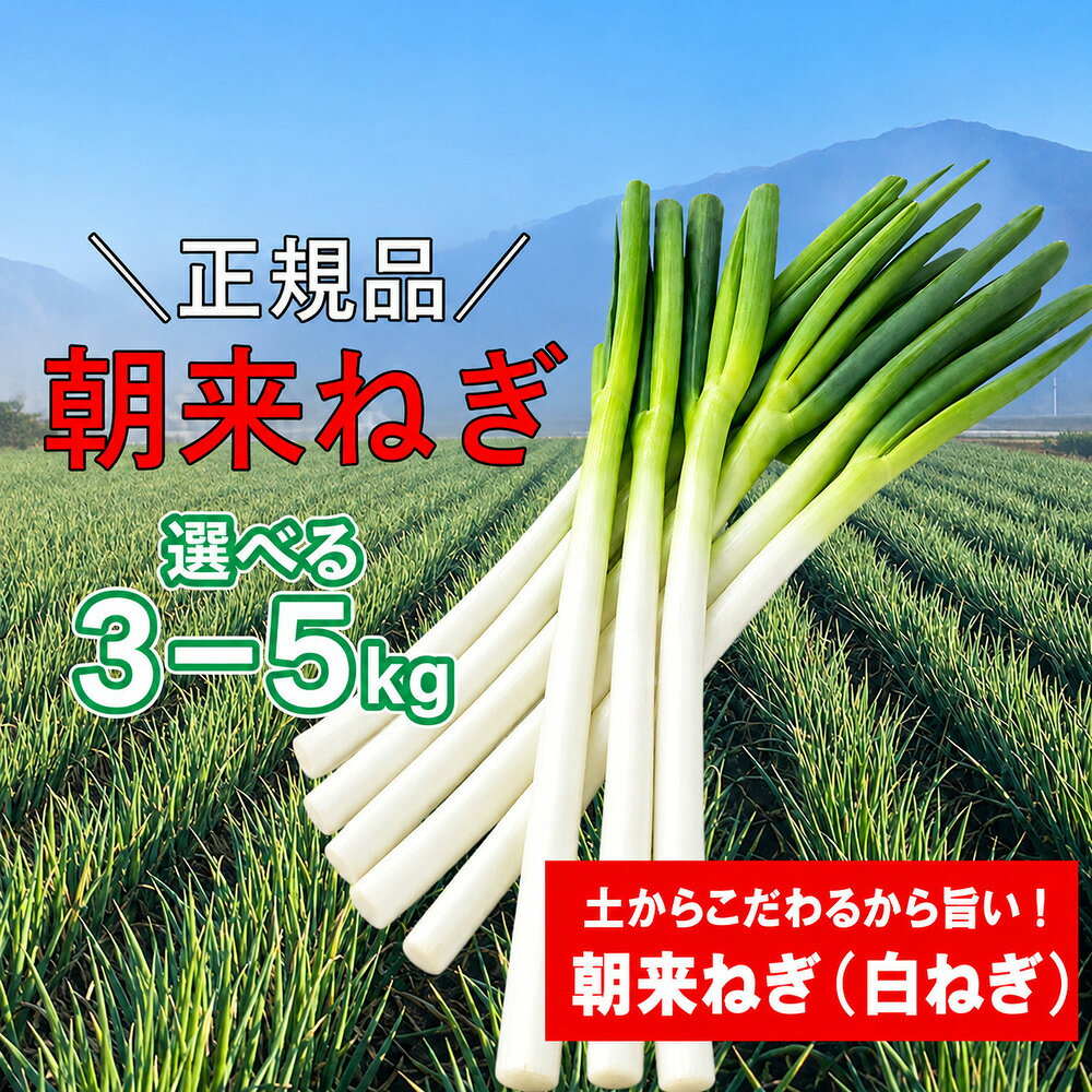 朝来ねぎ 白ねぎ 皮むき 3kg・5kg L〜2Lサイズ 箱入り[AGRI CREW 株式会社] 朝来ねぎ ねぎ ネギ 葱 新鮮 国産 甘い 太い 柔らかい 香り豊か 鍋 焼きねぎ すき焼き 朝来市