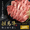 但馬牛 【ふるさと納税】【但馬牛】特上切り落し 300g (焼肉用) 神戸牛 神戸ビーフ 黒毛和牛 国産牛 ブランド和牛 切り落とし 切り落とし肉 牛切り落とし 焼き肉 焼肉 BBQ バーベキュー A4ランク以上 A4ランク A4 兵庫県 朝来市 AS1BB19