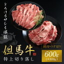 但馬牛 【ふるさと納税】【但馬牛】特上切り落し（焼肉・うす切り）計600gセット 神戸牛 神戸ビーフ 黒毛和牛 国産牛 ブランド和牛 切り落とし肉 切り落とし 焼肉 焼き肉 薄切り うす切り肉 牛切り落とし 兵庫県 朝来市 AS1CA21