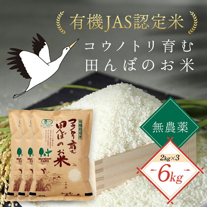 無農薬 有機JAS認定米 コウノトリ育む田んぼのお米 2kg×3袋 〈村上ファーム〉お米 おこめ 米 こめ コメ ご飯 ごはん 白米 6キロ 6kg 兵庫県 朝来市 AS1CA7