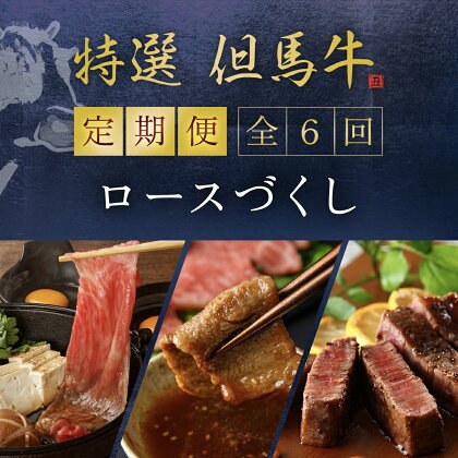 定期便 特選但馬牛ロースづくし6回 但馬牛 神戸牛 神戸ビーフ 黒毛和牛 国産牛 ブランド和牛 赤身 牛 お肉 牛肉 ビーフ ロース 牛ロース 兵庫県 朝来市 AS1O2