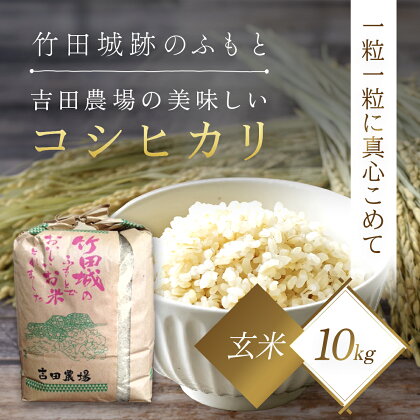 竹田城跡の麓 吉田農場の美味しいコシヒカリ（玄米）10kg コシヒカリ こしひかり コメ こめ 米 ごはん ご飯 玄米 10キロ 兵庫県 朝来市 AS1BF1