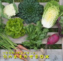 7位! 口コミ数「2件」評価「5」【定期便】ご家庭向けお野菜セット〜旬のおまかせBOX〜春夏秋冬4回分