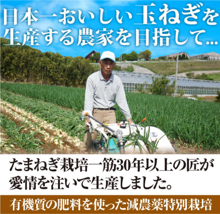 【ふるさと納税】今井ファームの淡路島たまねぎ「かくし玉」　7kg