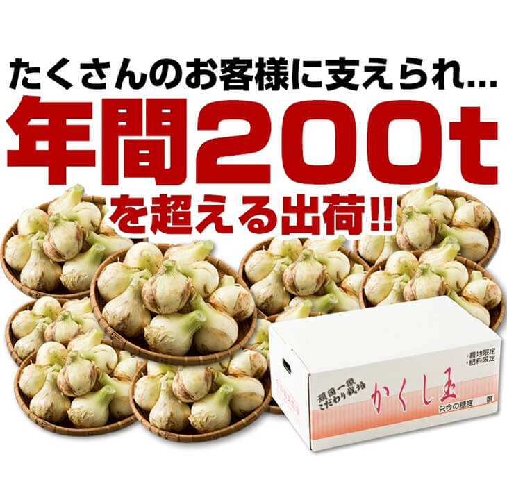 【ふるさと納税】【新たまねぎ】今井ファームの淡路島たまねぎ「かくし玉」5kgとたまねぎスープ10食【発送時期：2024年4月下旬〜5月頃】