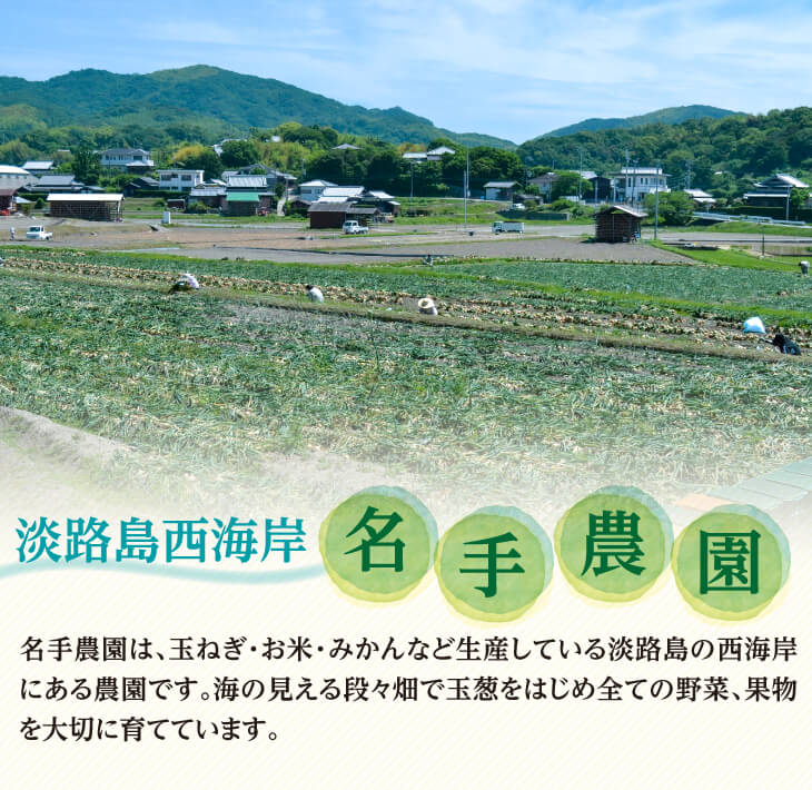 【ふるさと納税】【定期便】名手農園の淡路島特産玉ねぎ10kgの12ヶ月コース