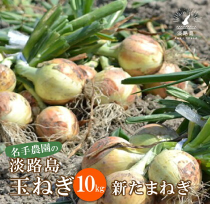 【新たまねぎ】名手農園の淡路島特産玉ねぎ10kg【発送時期：2024年3月～5月頃】