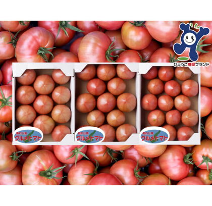三谷さんの淡路島グルメトマト3kg