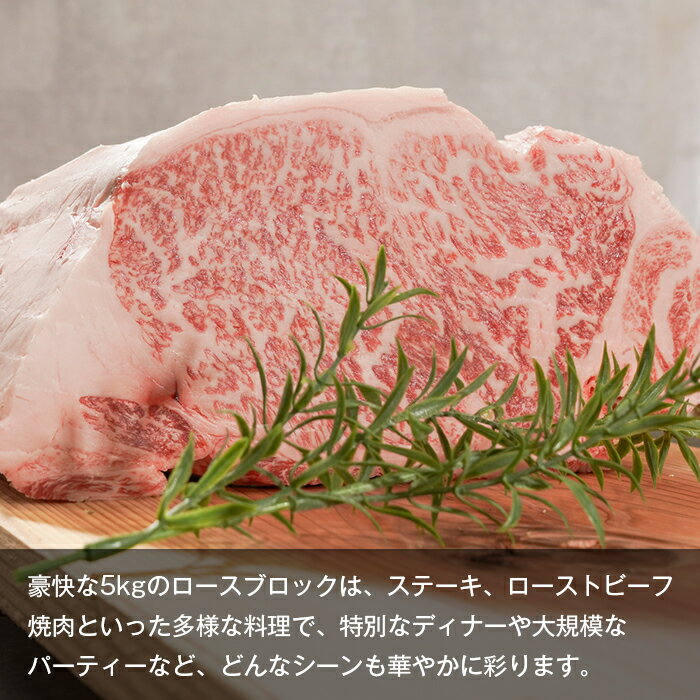 �ڤդ뤵��Ǽ�ǡۡ�A5��󥯸����øϩ�绺�����µ� �������֥��å� 5kg�����͵� ���� �֥��å� ���ơ��� ���� BBQ ���ߤ�