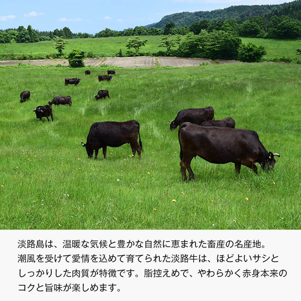 【ふるさと納税】【定期便3ヶ月・6ヶ月】淡路牛 赤身三種食べ比べ（すき焼き・ステーキ・焼肉）【3D急速冷凍】 赤身肉 国産牛 f282260-awaji-10002992 兵庫県淡路市 サンプル画像2