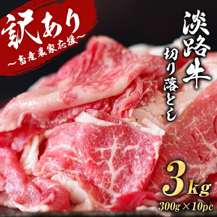 【訳あり】淡路牛 切り落とし 3kg (300g×10パック) 牛肉 国産牛 小分け 冷凍 人気