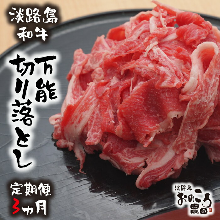 [定期便3ヶ月]淡路島和牛 万能切り落とし 1kg (200g×5パック)