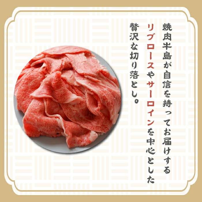 【ふるさと納税】淡路牛 贅沢切り落とし 1kg (250g×4PC)　小分け 牛肉 国産牛 冷凍 サーロイン リブロース 切り落し 霜降り 小間切れ f282260-awaji-10001956 兵庫県淡路市 サンプル画像2