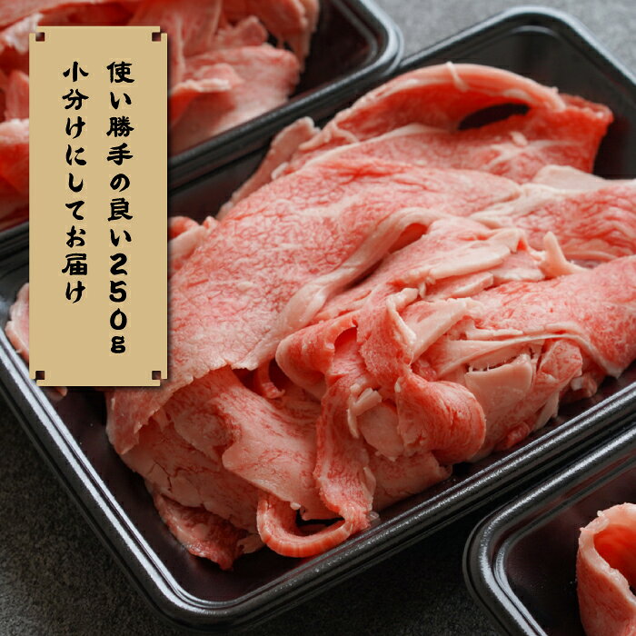 【ふるさと納税】淡路牛 贅沢切り落とし 1kg (250g×4PC)　小分け 牛肉 国産牛 冷凍 サーロイン リブロース 切り落し 霜降り 小間切れ f282260-awaji-10001956 兵庫県淡路市 サンプル画像3