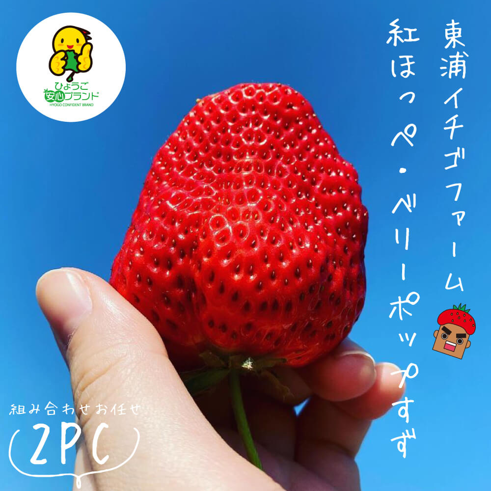 【ふるさと納税】淡路島産いちごセット（紅ほっぺ / ベリーポップすず）【12月中旬～1月発送・お届け日..
