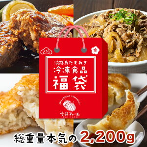 【ふるさと納税】今井ファームの冷凍食品お楽しみ福袋【ハンバーグ・牛丼・餃子・コロッケ】