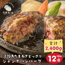 17位! 口コミ数「6件」評価「3.83」淡路島たまねぎどっさりジャンボハンバーグ 200g×12個