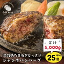 30位! 口コミ数「2件」評価「5」淡路島たまねぎどっさりジャンボハンバーグ 200g×25個