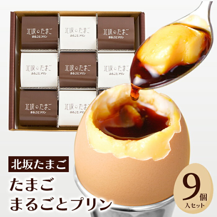 北坂たまごまるごとプリン9個入セット