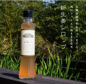 【ふるさと納税】新生姜シロップ　220ml×2本