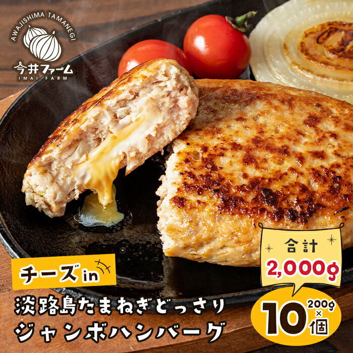 チーズin淡路島たまねぎどっさりハンバーグ 200g×10個