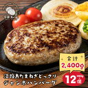 淡路島たまねぎどっさりジャンボハンバーグ 200g×12個