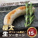 【ふるさと納税】生ポークソーセージ 100g×15本入り 冷凍 BBQ 焼肉 豚肉 弁当