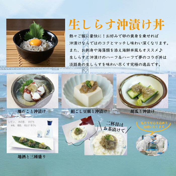 【ふるさと納税】淡路島の生しらす沖漬け（50g×10パック入）